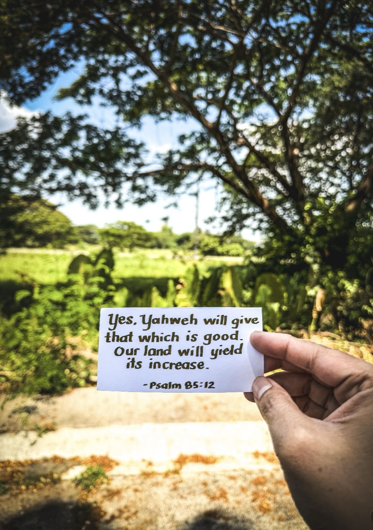 Good Fruit Initiative TikTok post: Yes, Yahweh will give that which is good. Our land will yield its increase. Psalm 85:12.